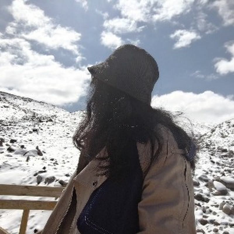 叁月的床车旅行日记 Logo