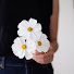 ksofdPX1wxI-channel-avatar-8 Handmade FLOWERS