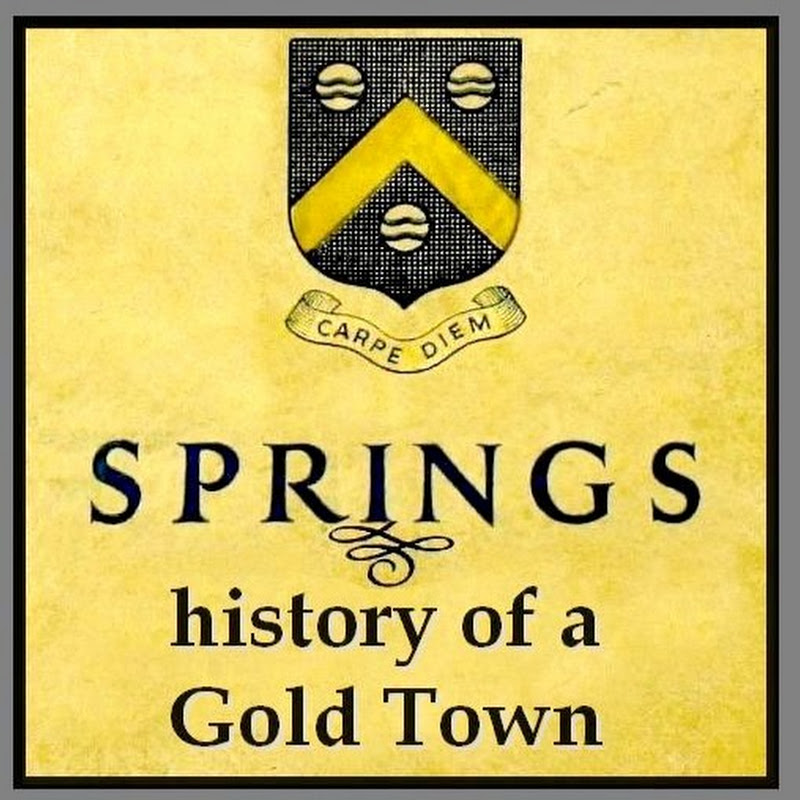 Springs - History of a Gold Town thumbnail