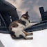 JIo-CrTdRFA-channel-avatar-MarkWillPlayGames