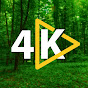 Forest 4K Relaxation logo