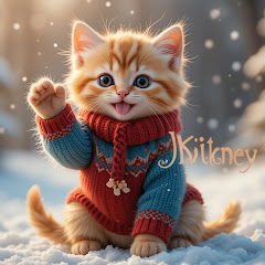 kitten journey