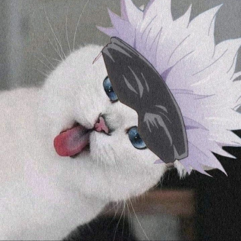 Catto Gojo