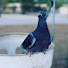 fBzr5OztG3g-channel-avatar-KevinsCooked