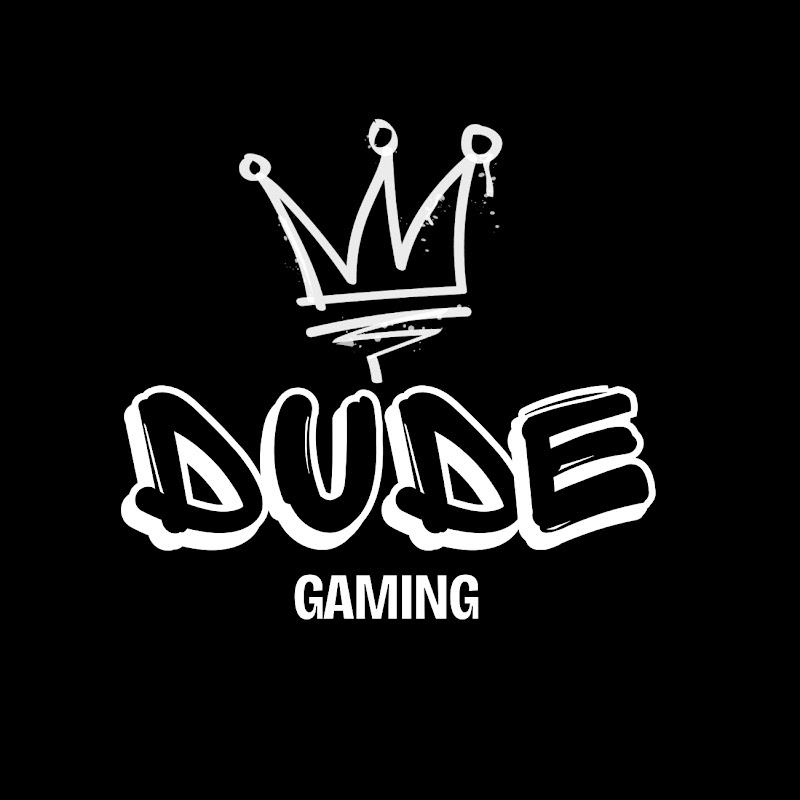 Dude gaming