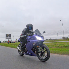 Demente Loco 8