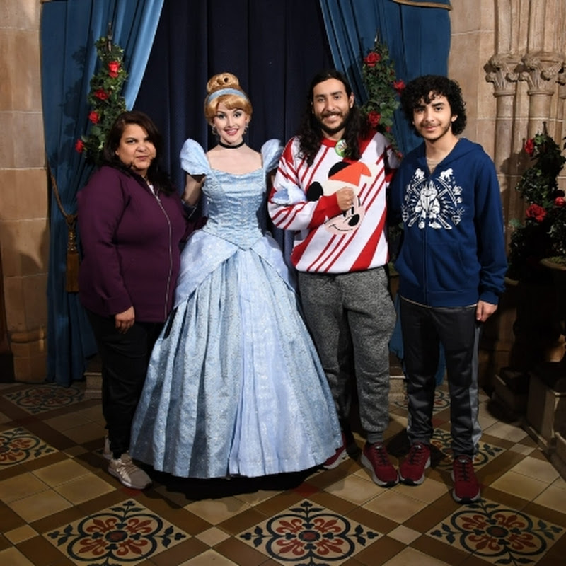 Disney Rod
