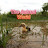 @TheAnimalworld-rh3gs Avatar