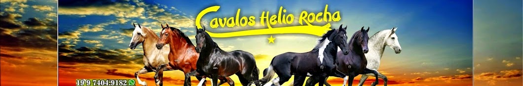 Cavalos Helio Rocha YouTube channel avatar