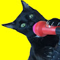 Shorts de gatos Luna y Estrella en español Image Thumbnail