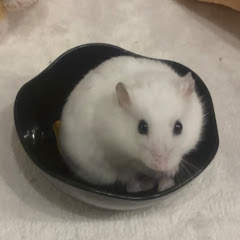 しんこば
