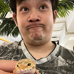 グリードTV