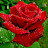 @mariam6828