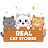 Story Arc Paws