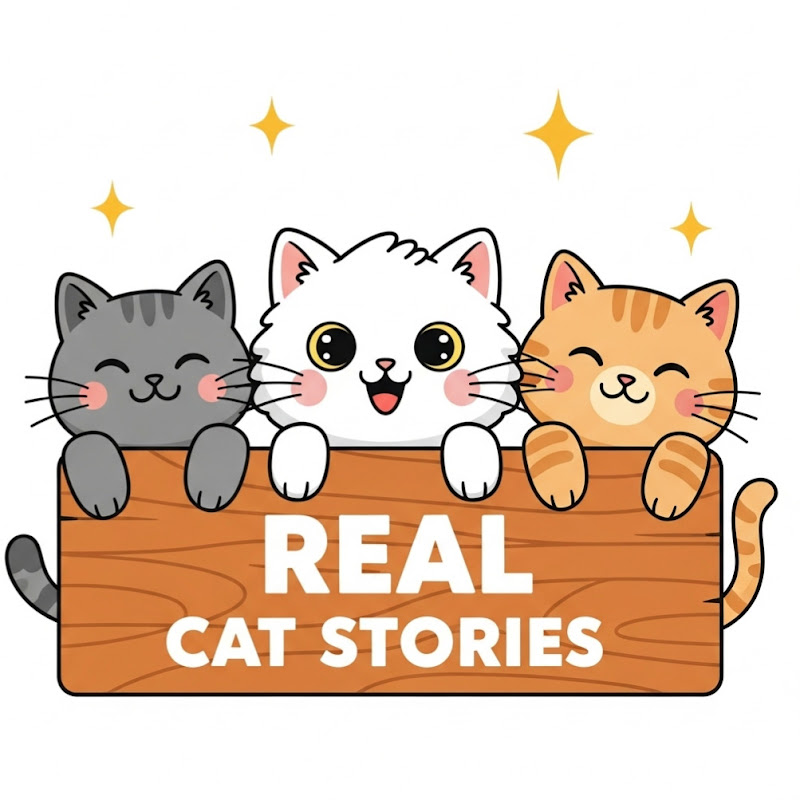 Story Arc Paws