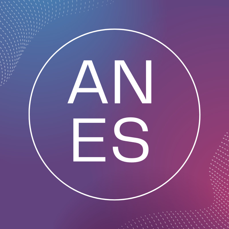 Anes