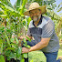 EJhO89Pf9XI-channel-avatar-O Agrônomo de Vera
