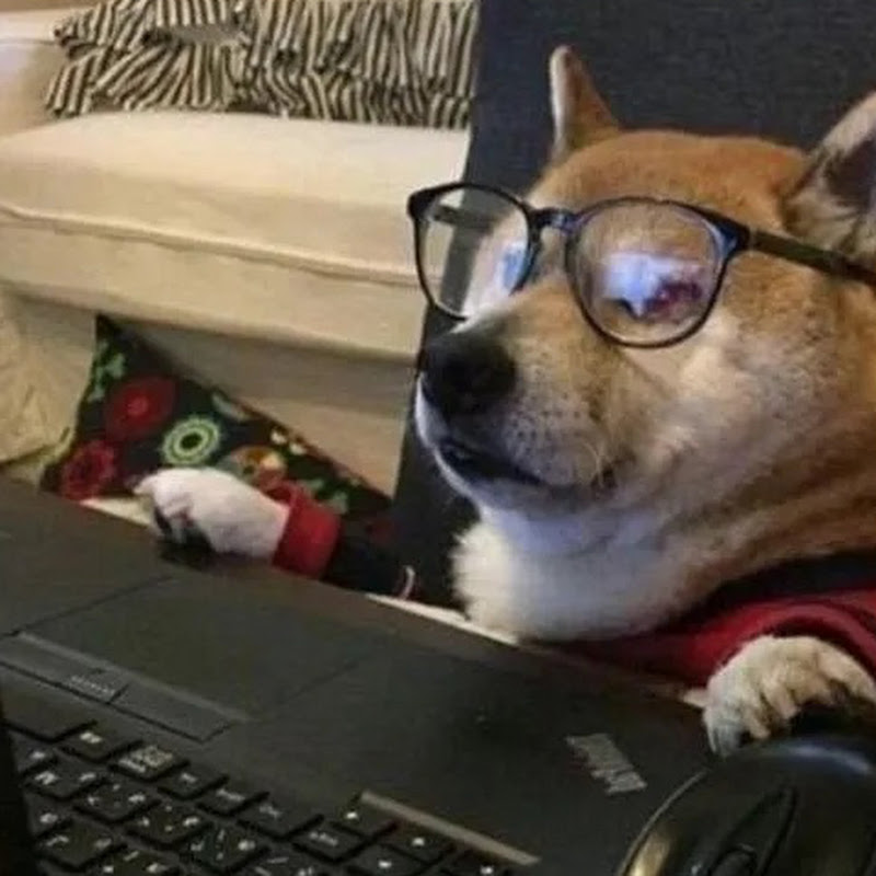 Hire Story Central Pov  — Mental Health Journey & Awareness YouTube creator for sponsorships