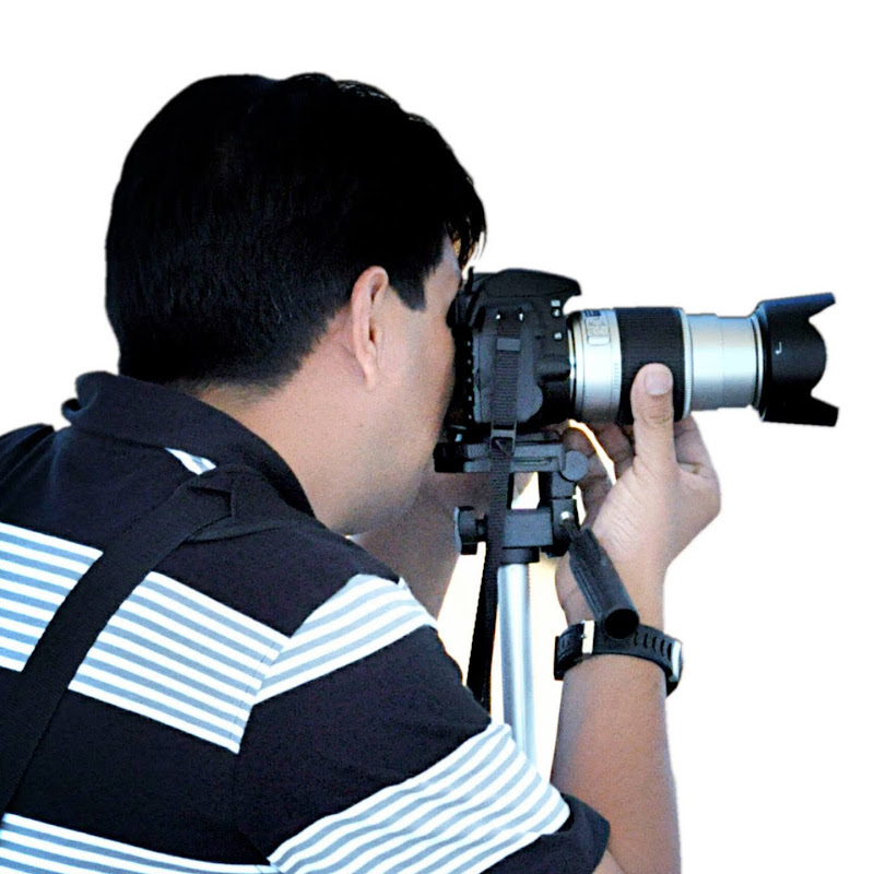 Dubai Streets Walker