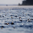 dG_SQ2khsGg-channel-avatar-Lado Calmo