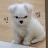 @콩콩냠냠
