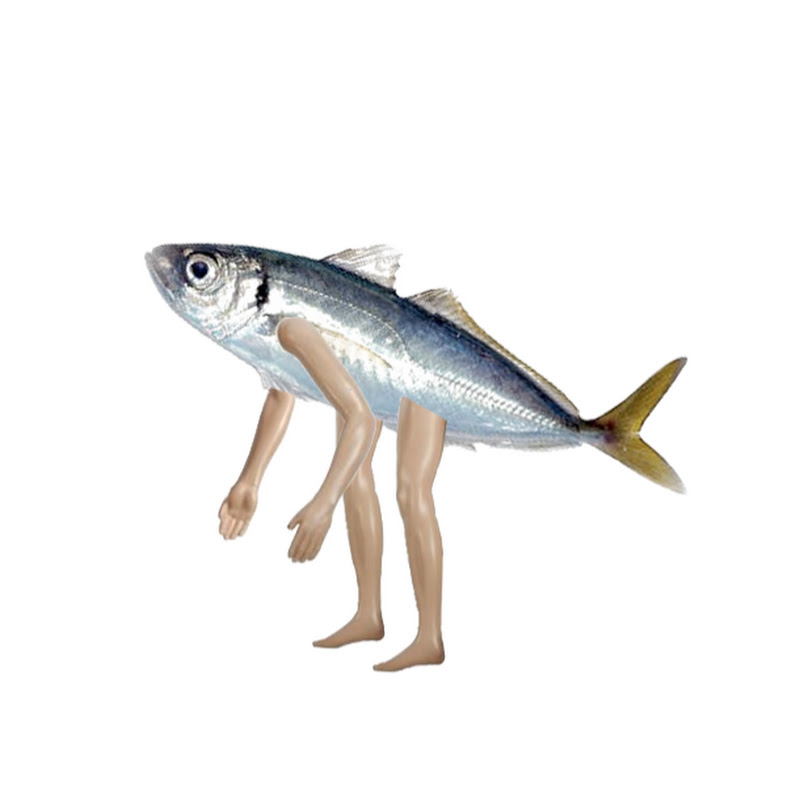なまあじ鯵人