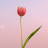 @아이셔-f7s