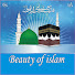 pL_x1cJ060U-channel-avatar-Beauty of Islam