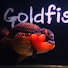 NqPJij7Jsxw-channel-avatar-Goldfish Haven