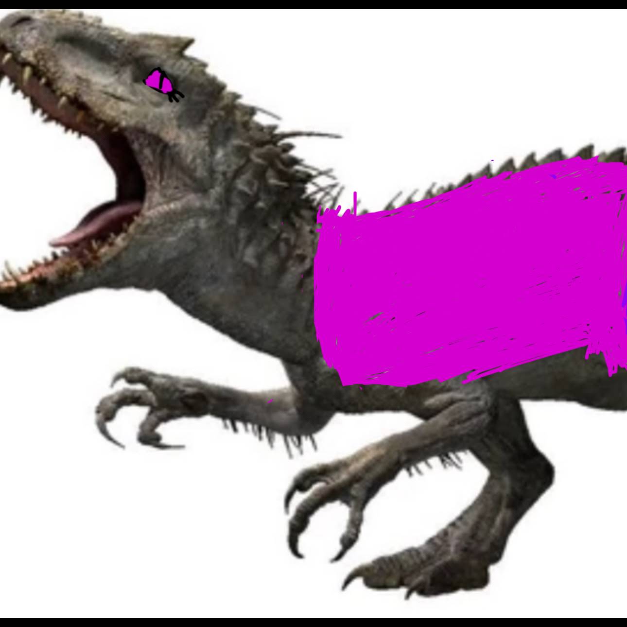 Post from Rex king 👑
