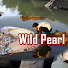 Yv_w-pjfPsQ-channel-avatar-Wild Pearl Hunter
