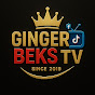 GinGer Beks TV logo