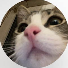 Stil de viata💫👍