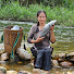 jJjBWaJiUTE-channel-avatar-Green Harvest Farm
