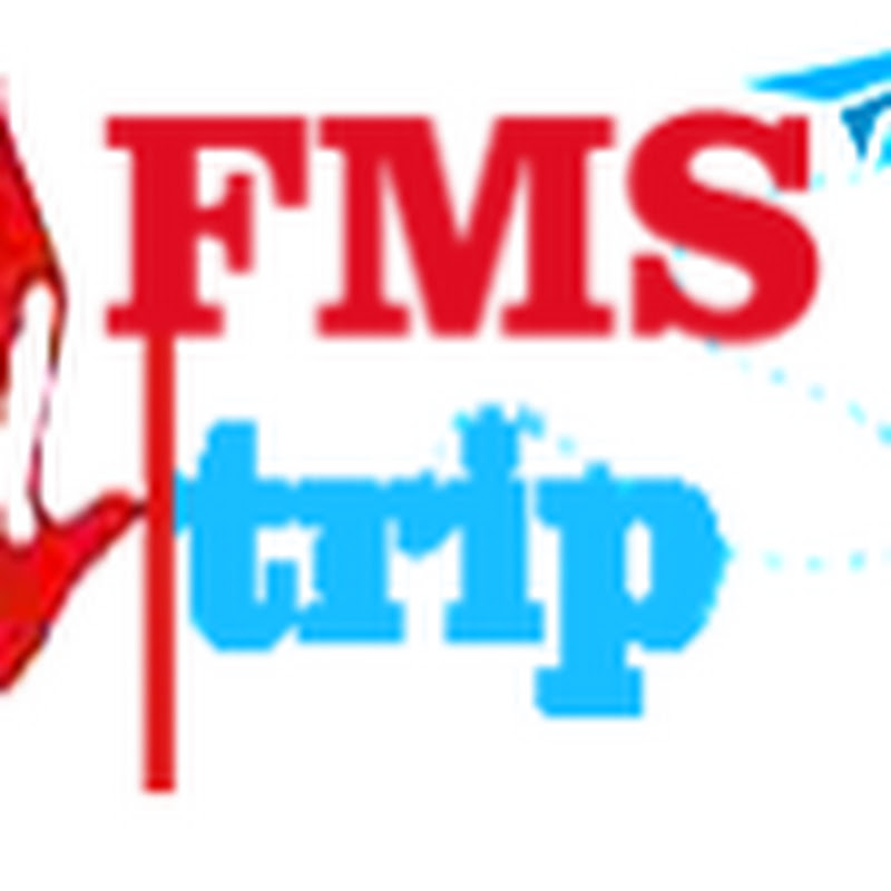 FMStrip