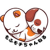 もふモチちゃんねる