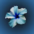 4jXqbtOhpLk-channel-avatar-Lawrie 