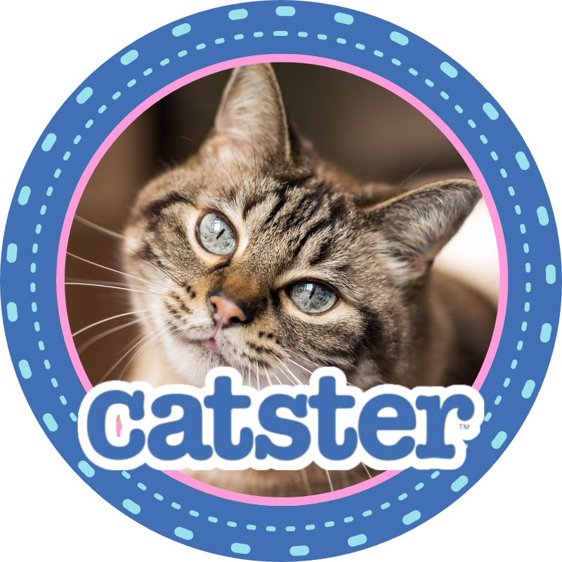 Catster