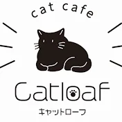 保護猫カフェ キャットローフ