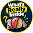 VJsN41DMQVg-channel-avatar-What’s Really Inside