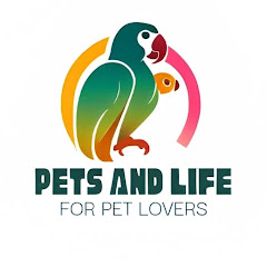 Pets And Life