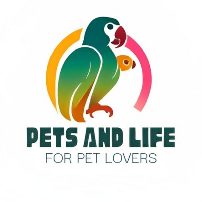 Pets And Life