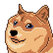 Daily Funny Dog Videos