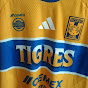 pieldetigre2080