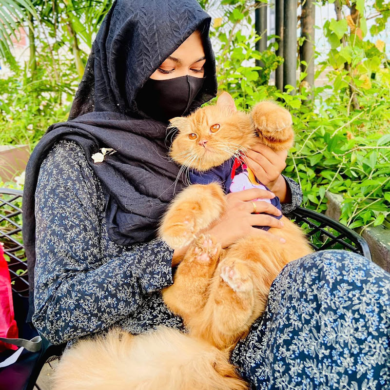 Hire Mounita Islam Anika — Mental Health Journey & Awareness YouTube creator for sponsorships