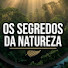 hWWqrADQlm0-channel-avatar-Os Segredos Da Natureza