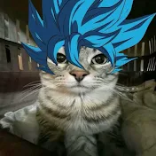 ♤MR FØXシ♧