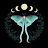 @moon-moth1