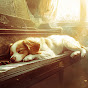 Sleepy Paws & Piano logo