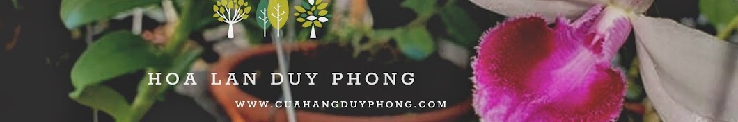 DUY PHONG رمز قناة اليوتيوب